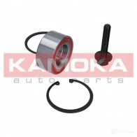 Подшипник ступицы колеса, комплект KAMOKA 1656873 VJ WPR 5600001 - Изображение 2