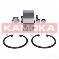 Подшипник ступицы колеса, комплект KAMOKA 1656944 P9DFJ S 5600074 - Изображение 2