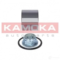 Подшипник ступицы колеса, комплект KAMOKA 2TZN E3 5600065 1656935 - Изображение 6