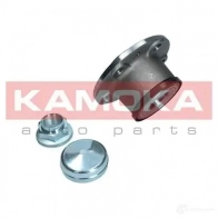 Подшипник ступицы колеса, комплект KAMOKA 5500216 PA9 NP7 1437540718 - Изображение 3
