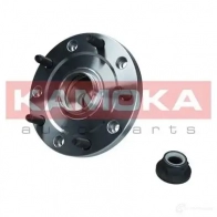 Подшипник ступицы колеса, комплект KAMOKA 1437540591 BB2T RX 5500157