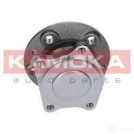 Подшипник ступицы колеса, комплект KAMOKA 5908242638720 BPN FF25 1656823 5500099 - Изображение 3