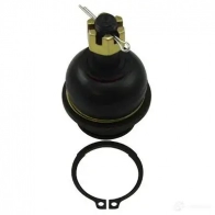Шаровая опора KAVO PARTS 8715616163156 Nissan Navara (D40) 2 Пикап 2.5 dCi 4WD (D40TT. D40T. D40M. D40BB) 190 л.с. 2009 – 2025 X34A HE sbj6555
