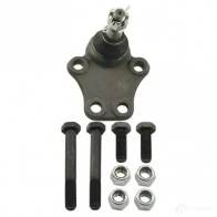 Шаровая опора KAVO PARTS 8715616076883 1768139 0E IYG3N sbj3510