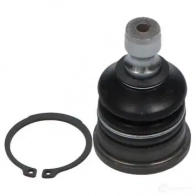 Шаровая опора KAVO PARTS 1Y7W D9I sbj7501 1768289 8715616067126 - Изображение 2