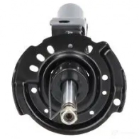 Амортизатор KAVO PARTS 1437564059 7ED 76E ssa10159 - Изображение 4