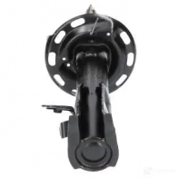 Амортизатор KAVO PARTS 1437567687 ssa2033 FS K9C