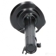 Амортизатор KAVO PARTS 1437563144 B XWTD ssa9005 - Изображение 2