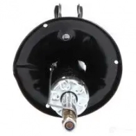 Амортизатор KAVO PARTS 1437563486 ssa3018 X841 RQ - Изображение 4