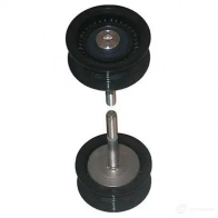 Натяжной ролик приводного ремня KAVO PARTS 5C RAJ Hyundai ix55 (EN) 1 Кроссовер 3.0 V6 CRDi 4WD 239 л.с. 2008 – 2011 8715616071536 dtp3010