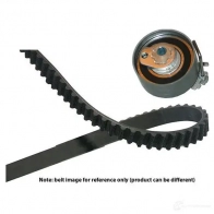 Комплект ремня ГРМ KAVO PARTS Renault Kangoo (FC) 1 Фургон 1.2 16V (FC05. FC0W. FC1D. FC1P. FC1K. FC0T) 75 л.с. 2001 – 2025 dkt6523 8715616167765 UY9DU S
