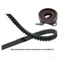 Комплект ремня ГРМ KAVO PARTS dkt1502 8715616060752 1762232 2CC7TY A