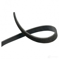 Приводной ремень, поликлиновой KAVO PARTS 6 PK2302 6PK2303 dmv4574 1194044352