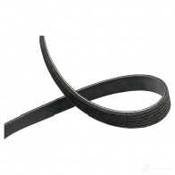 Приводной ремень, поликлиновой KAVO PARTS 1763078 6PK1 667 dmv9084 6PK1668