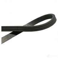 Приводной ремень, поликлиновой KAVO PARTS 3PK958 3PK 957 dmv9062 1763056