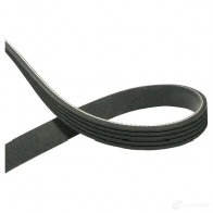 Приводной ремень, поликлиновой KAVO PARTS dmv4566 1762849 5PK688 5PK6 87