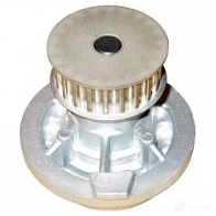 Водяной насос, помпа KAVO PARTS 1763991 dw1006 8715616023504 6RSB P2