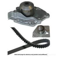 Комплект ремня грм с водяным насосом KAVO PARTS dkw6502 DK T-5520 Mitsubishi Carisma 1 (DA) Хэтчбек 1.9 DI D (DA5A) 102 л.с. 2000 – 2006 MW-1449