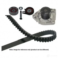 Комплект ремня грм с водяным насосом KAVO PARTS SW-1922 dkw8503 D KT-8519 1762572