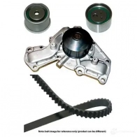 Комплект ремня грм с водяным насосом KAVO PARTS MW-1434 DKT-55 35 dkw5512 Mitsubishi Galant 7 (E52A) Хэтчбек 2.5 (E88A) 170 л.с. 1992 – 1996