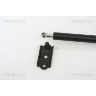 Амортизатор багажника KAWE KN VQ5 1440961978 8710 13252 - Изображение 2