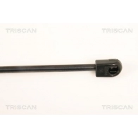 Амортизатор багажника KAWE PP4XN5 M 8710 18225 1440962258 - Изображение 3