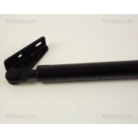 Амортизатор багажника KAWE 8710 43204 TR EBM 1440962867 - Изображение 2