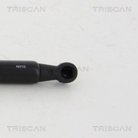 Амортизатор багажника KAWE OXKZ YY 1440962955 8710 50252 - Изображение 3