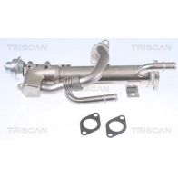 Охладитель EGR KAWE 8813 29333 1440965668 P8DP D