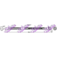 Тормозной шланг KAWE H7837 XI1F BZ Nissan Qashqai (J11) 2 Кроссовер 1.6 dCi ALL MODE 4x4 i 130 л.с. 2013 – 2025