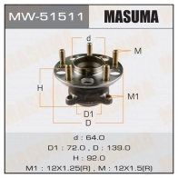 Ступичный узел