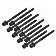 Комплект болтов ГБЦ HYUNDAI G4LA SAT 1440523816 ST1170085 NZIM7 K
