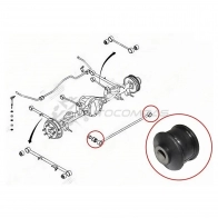 Сайлентблок задней поперечной тяги (панара) SSANG YONG KYRON 05-12/ACTION 01-09/MUSSO 93-08/REXTON 0 SAT 1422820253 ST4562105000 7 YVKL