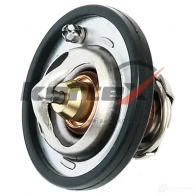 Термостат FORD FOCUS 1.6 04-