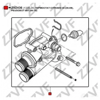 Термостат ZZVF ZVZ436 7U TYL 1437882372 - Изображение 4