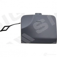 Заглушка крюка в Бампер задний SIGNEDA PBM99213CA 1438048954 PS 9VQH