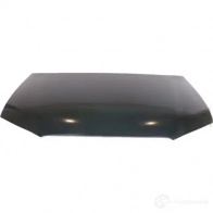 Капот передний TYG 1422732323 X8 254 AD20011A