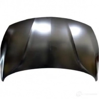 Капот передний TYG 1438058090 OP20035A LT5ZWV W