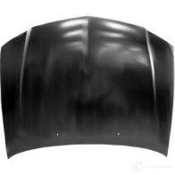 Капот передний TYG DS20110A 1422501857 15L43 G