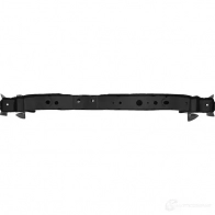 Панель радиатора нижн. TYG L Z8PK38 DG30043AW 1438071135