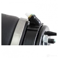 Стойка пневматической подвески, пневмостойка ARNOTT 5L2GEA AS-226 9 1424429308 as2308 - Изображение 6