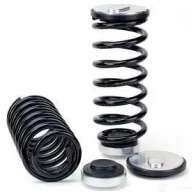 Комплект пружин подвески ARNOTT R8 1B5CQ 0814989000278 1424429419 c2180 - Изображение 2