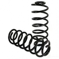 Комплект пружин подвески ARNOTT C XBM4 1424429415 c2137 0814989000988 - Изображение 2