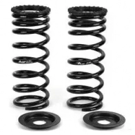 Комплект пружин подвески ARNOTT Z 37MAQ 0814989000308 1424429420 c2203 - Изображение 5