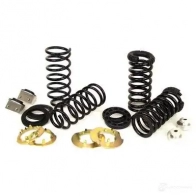 Комплект пружин подвески ARNOTT c2224 I LGA9OW 0814989000452 1424429421