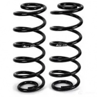 Комплект пружин подвески ARNOTT G04S2 U 0815710013918 c2835 1424429446 - Изображение 3
