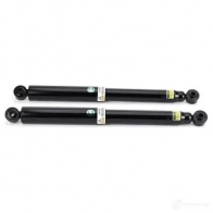 Комплект пружин подвески ARNOTT G04S2 U 0815710013918 c2835 1424429446 - Изображение 5
