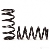 Комплект пружин подвески ARNOTT 1II 1W 1437311849 c2663 - Изображение 5