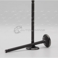 Клапан AUTOWELT VI-33013 1441178127 KOJ 7GI