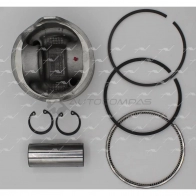 Поршень 1.00 AUTOWELT NN Y80V PN-33042 1441178063